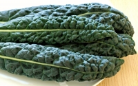 Cavolo nero: caratteristiche e proprietà.